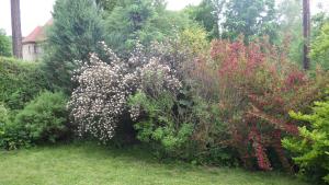 체스키크룸로프에 위치한 Ubytování u Dolanských에서 갤러리에 업로드한 사진 사진 9개 이상