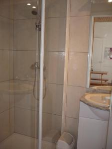 a bathroom with a shower with a toilet and a sink at Gite Anne-Marie Davaillon in Châtillon-sur-Indre