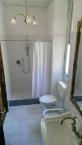 a bathroom with a shower and a toilet and a sink at B & B Abbadia in Monesiglio
