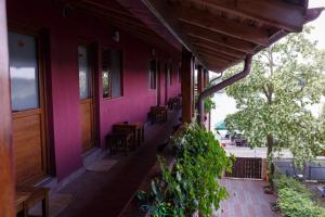 Zahrada ubytování Pension Delta Miraj