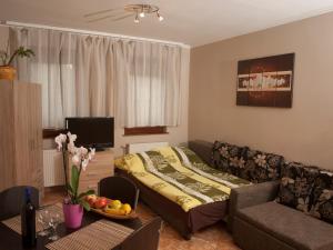 - un salon avec un canapé et un lit dans l'établissement Flora Apartman, à Gyula