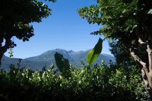 Galeriebild der Unterkunft Osteria Locanda Brack in Gudo + 15 Fotos