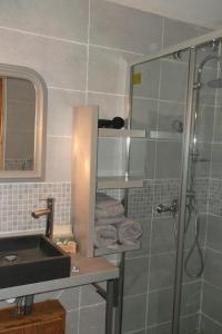 a bathroom with a shower and a sink and a shower at La Grange d'Antan in Cruzy