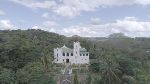 a white building in the middle of a forest at The Old Boma Hotel in Mtwara