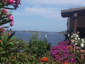 - une vue sur l'eau depuis un jardin fleuri dans l'établissement Appartamento I Ginepri, à Marina di Portisco