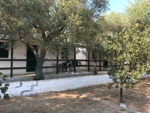 Camping Porto Miggiano, Santa Cesarea Terme – Prezzi aggiornati per il 2023