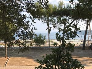 widok na plażę zza niektórych drzew w obiekcie Camping Porto Miggiano w mieście Santa Cesarea Terme