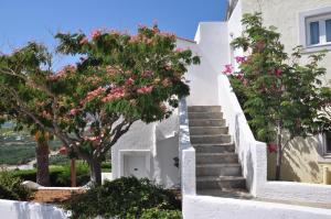 a white building with stairs and trees with pink flowers at Castri Village Hotel in Palekastron