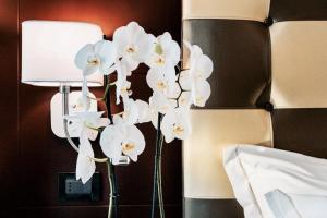 Foto sihtkohas Forte dei Marmi asuva majutusasutuse JR Resort Logos Forte dei Marmi galeriist