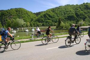 Ποδηλασία στο Gästehaus Donautal ή στη γύρω περιοχή