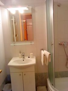 Kúpeľňa v ubytovaní Apartmani Loreta
