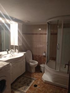 a bathroom with a sink and a toilet and a shower at Prinos Apartment in Prinos
