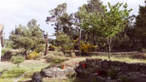 un jardin avec un mur en pierre et des arbres dans l'établissement Casa de Malhoes, à Vilares