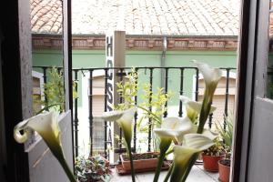 Balkón nebo terasa v ubytování Hostal San Martin
