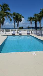 a large swimming pool with palm trees in the background at Knight's Key Suites in Marathon