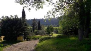 マロセーヌにあるChambres d'Hôtes Aux Tournesolsの木々の茂る庭へと続く未舗装道路