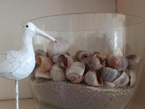 a glass bowl filled with shells and a white bird at APARTMENT BY THE SEA Bed by the Sea in Vlissingen