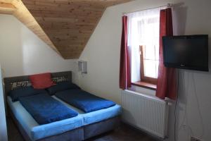 małą sypialnię z łóżkiem i telewizorem w obiekcie Apartmany Svijany w mieście Svijany