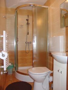 a bathroom with a shower and a toilet and a sink at Pokoje Gościnne A.T. Mikołajczyk in Krościenko