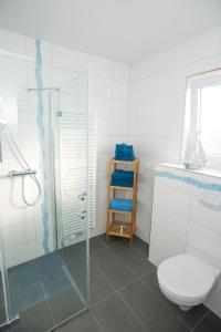 ein Bad mit einer Glasdusche und einem WC in der Unterkunft Family Apartments in Rust