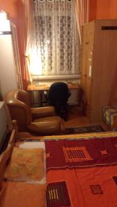 ブダペストにあるCuki Apartmentのベッドルーム(ソファ、椅子、デスク付)
