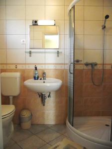 Koupelna v ubytování Radek Vendégház és Apartman + 17 fotografií