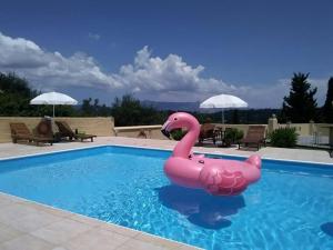 a pink inflatable swan in a swimming pool at Melitta Villa in Ágios Ioánnis