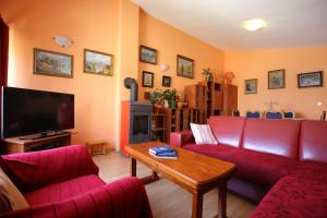 TV a/nebo společenská místnost v ubytování Apartment and rooms Roko
