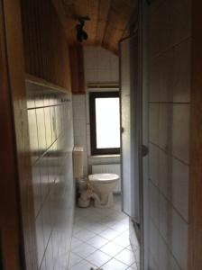 a bathroom with a toilet and a window at Ferienwohnung Dietlinde in Bad Blankenburg