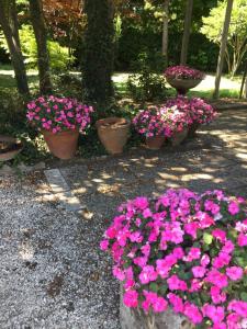 Zahrada ubytování Corte Posta B&B - parcheggio e bagno in camera