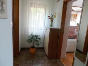 Fotografie z fotogalerie ubytování Martin apartman v destinaci Senj