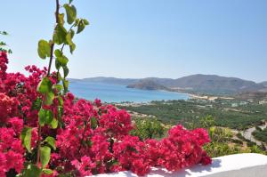 a view of the ocean and pink flowers at Castri Village Hotel in Palekastron