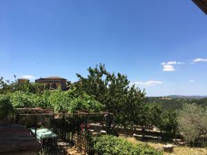 ピティリアーノにあるCasa Cieli di Toscanaの山の景色を望む庭園