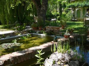 un jardin avec un étang avec des plantes et un arbre dans l'établissement Le Relais Notre Dame, à Quinson