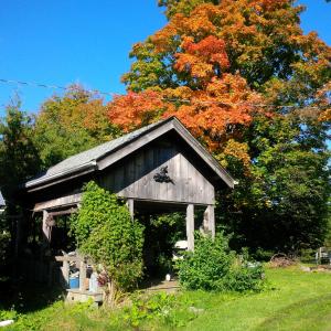 eine alte Scheune mit bunten Bäumen im Hintergrund in der Unterkunft Picturesque School House Retreat in Meaford + 23 Fotos