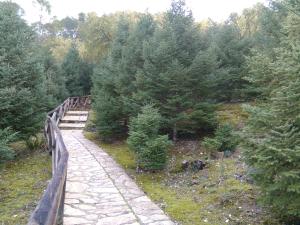 a wooden bridge over a path in a forest at Hotel Casa Paco in El Bosque +3 photos