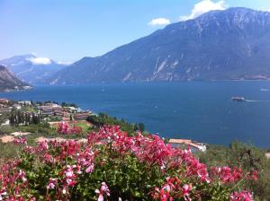 a view of a large body of water with pink flowers at Hotel Villa Margherita in Limone sul Garda