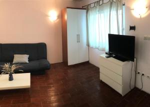 Televízia a/alebo spoločenská miestnosť v ubytovaní Sea House Mljet