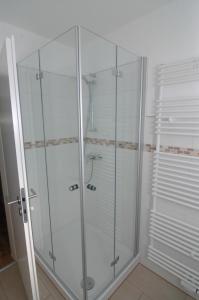 a shower with glass doors in a bathroom at Ferienwohnung Sonneneck in Scharzfeld