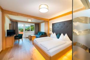 TV a/nebo společenská místnost v ubytování Hotel Alpina