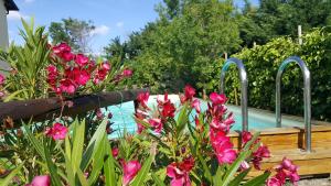 The swimming pool at or close to Agriturismo Ca' di Mazza