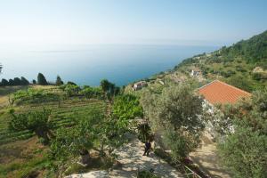 a view of the ocean from a hill at Sopra il Limoneto in Cetara