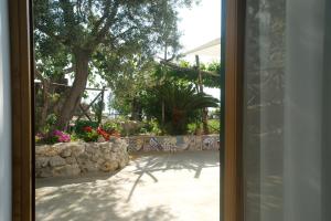 a view of a yard from a window at Sopra il Limoneto in Cetara