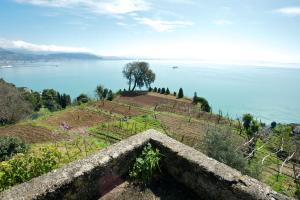a view of a large body of water at Sopra il Limoneto in Cetara