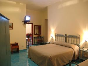 a bedroom with a bed and a tv on the wall at Hotel La Certosa in Massa Lubrense