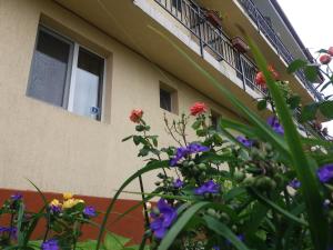 Zahrada ubytování Vila Albatros