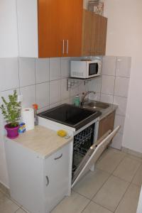 Kuchyň nebo kuchyňský kout v ubytování Guest House Put