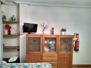 a wooden cabinet with a television on top of it at Apartamento Los Fresnos in Gijón