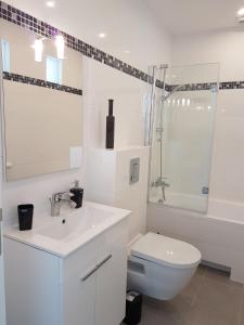 bagno bianco con servizi igienici e lavandino di Aparthouse Haas41 a Eupen