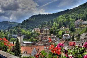 una vista de una ciudad en las montañas con flores en Ferienwohnungen Schwarzwald Panorama, en Bad Wildbad